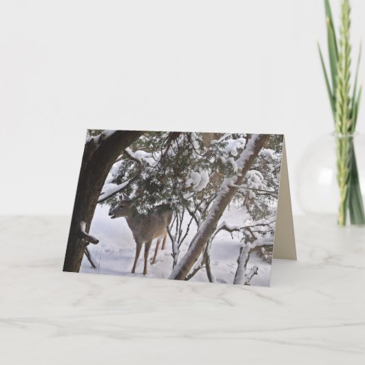 森の鹿の写真からの挨 シーズンカード (正面)