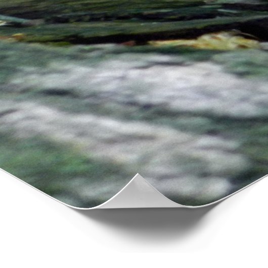 森の鹿の子鹿のポスター ポスター (角)