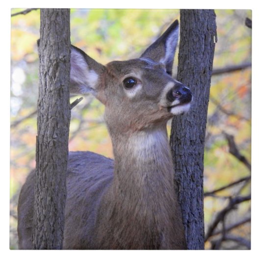 森の鹿 タイル (正面)