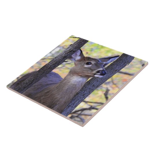 森の鹿 タイル (側面)