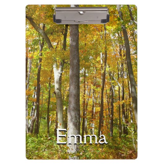 森の黄色葉い紅葉 クリップボード (正面)