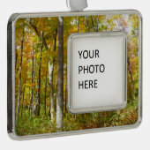 森の黄色葉い紅葉 シルバープレートフレームオーナメント (右)
