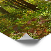 森の黄色葉い紅葉 ポスター (角)