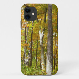 森の黄色葉い紅葉 iPhone 11 ケース