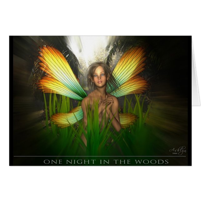 森の1夜 (正面横)