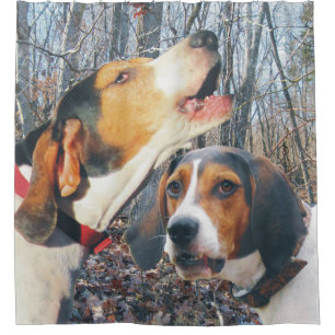 森のTreeingの歩行者のCoonhound犬 シャワーカーテン