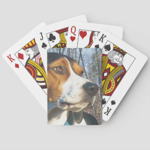 森のTreeingの歩行者のCoonhound トランプ
