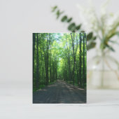 森はがき ポストカード (スタンド正面)