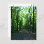 森はがき ポストカード (正面/裏面)
