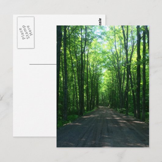 森はがき ポストカード (正面/裏面)