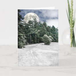 森への至の満月の道 カード