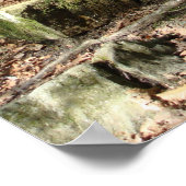 森への階段 ポスター (角)