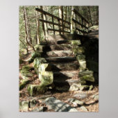 森への階段 ポスター (正面)