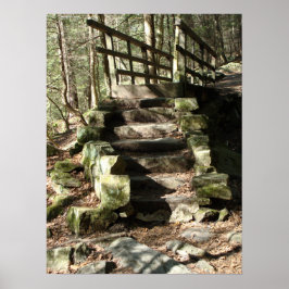 森への階段 ポスター