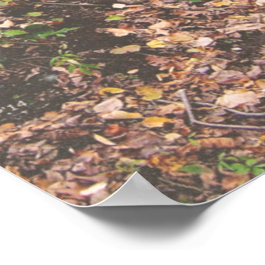 森への階段 ポスター (角)