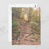 森への階段 ポストカード (正面/裏面)
