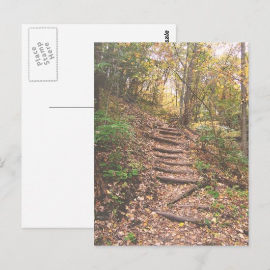 森への階段 ポストカード (正面/裏面)