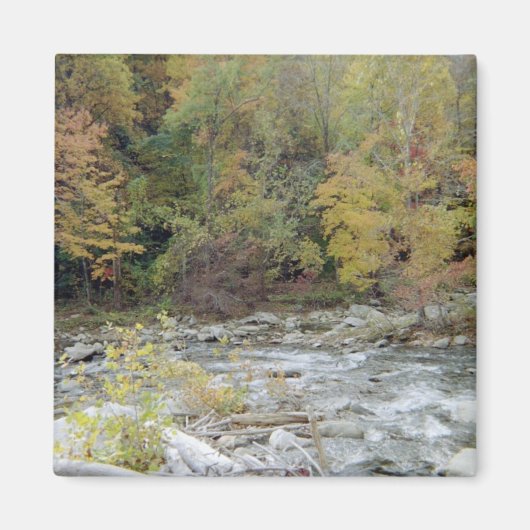 森へ マグネット (正面)