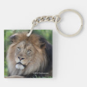 森をうろつくライオン キーホルダー (裏面)