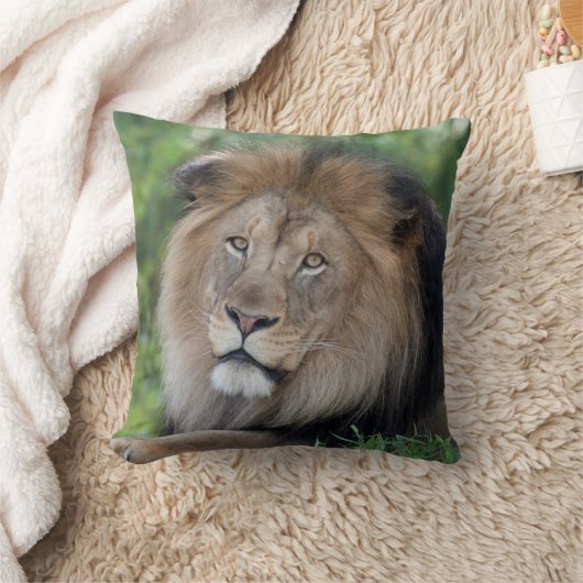 森をうろつくライオン クッション (ブランケット)