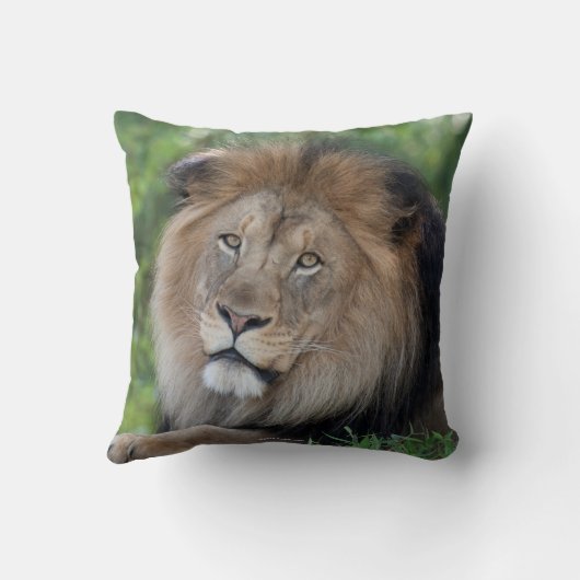 森をうろつくライオン クッション (裏面)