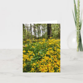 森をモチーフにした折り畳みグリーティングカード カード