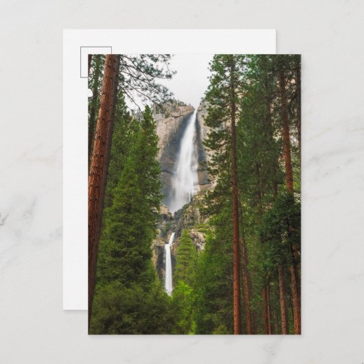 森を抜けたヨセミテ滝 ポストカード (正面/裏面)