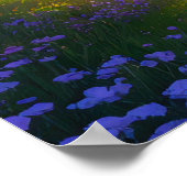 森を抜ける道 ポスター (角)