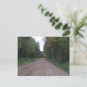 森を抜ける道 ポストカード (スタンド正面)