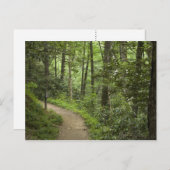 森を抜ける道 ポストカード (正面/裏面)