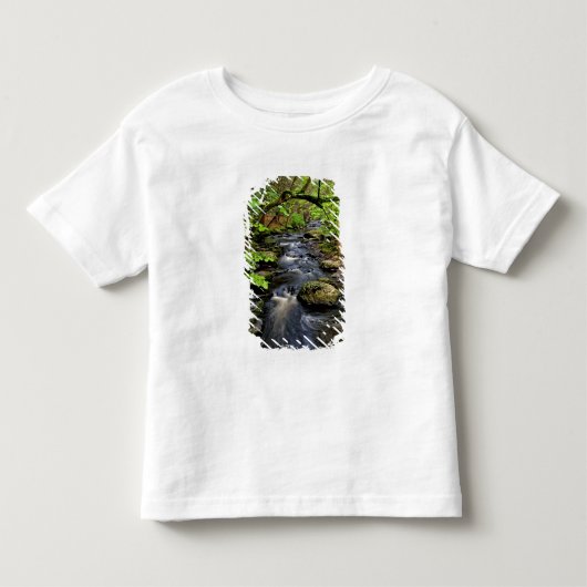 森を流れる小川 トドラーTシャツ (正面)