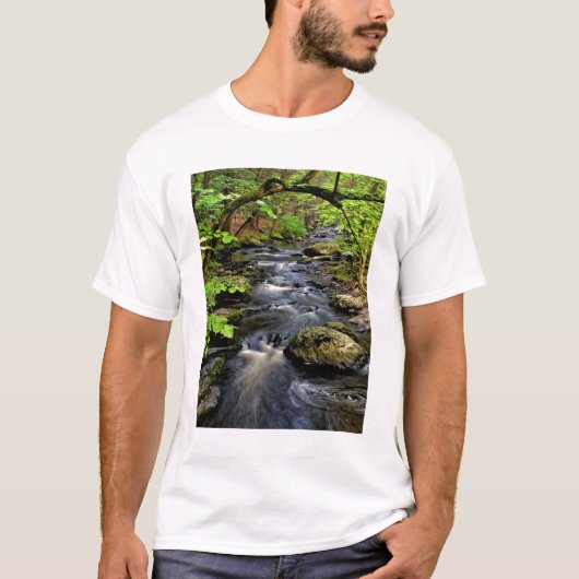 森を流れる小川 Tシャツ (正面)