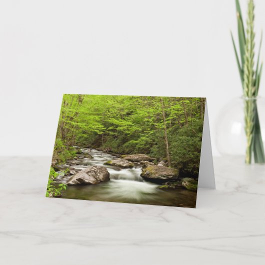 森を真っ直ぐに流れるフォーク カード (正面)