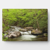 森を真っ直ぐに流れるフォーク フォトプラーク (正面)