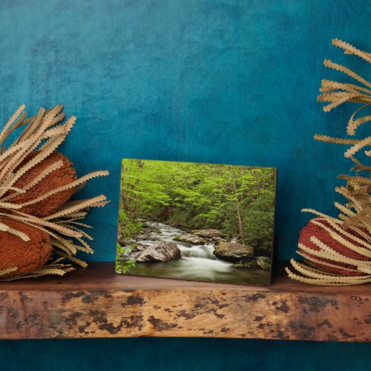 森を真っ直ぐに流れるフォーク フォトプラーク (側面)