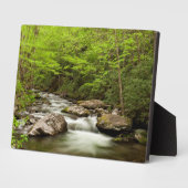 森を真っ直ぐに流れるフォーク フォトプラーク (側面)