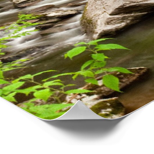 森を真っ直ぐに流れるフォーク ポスター (角)