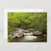 森を真っ直ぐに流れるフォーク ポストカード (正面/裏面)