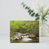 森を真っ直ぐに流れるフォーク ポストカード (スタンド正面)