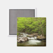 森を真っ直ぐに流れるフォーク マグネット (正面/裏面)