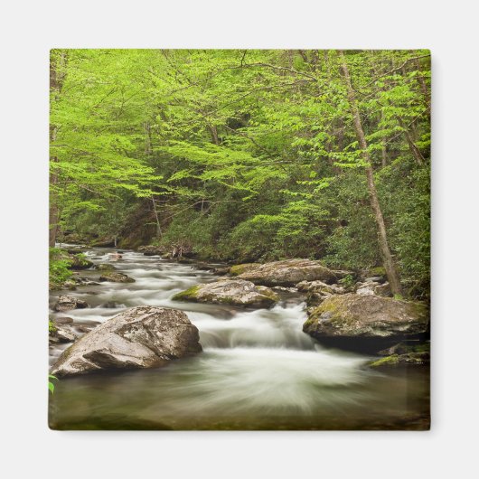 森を真っ直ぐに流れるフォーク マグネット (正面)