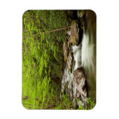 森を真っ直ぐに流れるフォーク マグネット (縦)