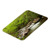 森を真っ直ぐに流れるフォーク マグネット (左側)