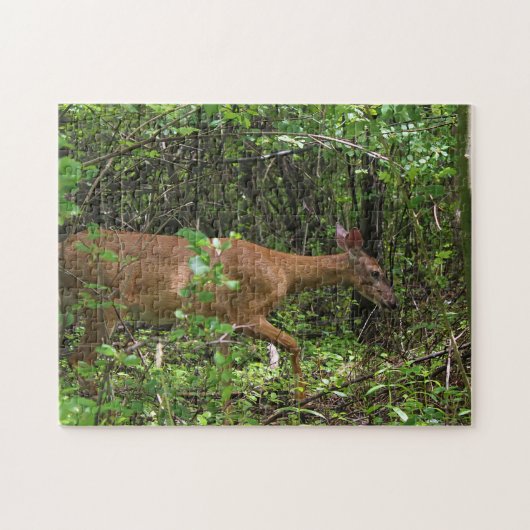 森を通した散歩 ジグソーパズル (横)