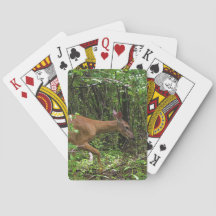 森を通した散歩