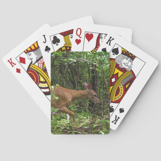 森を通した散歩 トランプ (裏面)