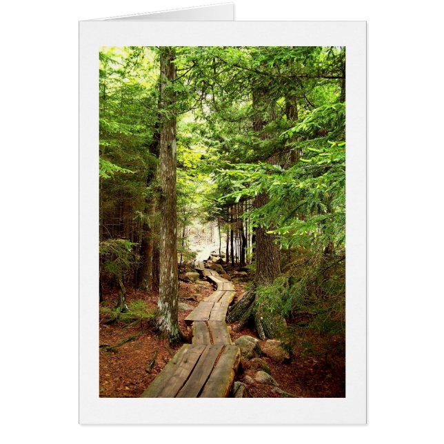 森を通して (正面)