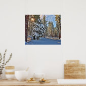 森を通る日光 ポスター (キッチン)