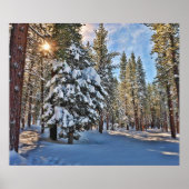 森を通る日光 ポスター (正面)