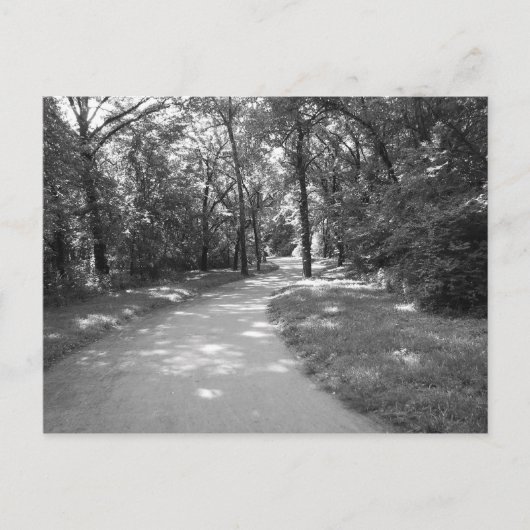 森を通る道 ポストカード (正面)